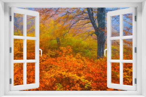Fototapeta Naklejka Na Ścianę Okno 3D - beautiful red autumn dense forest in a blue mist