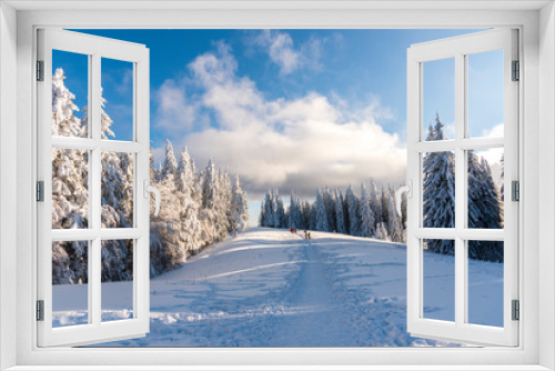 Fototapeta Naklejka Na Ścianę Okno 3D - Snow trees 