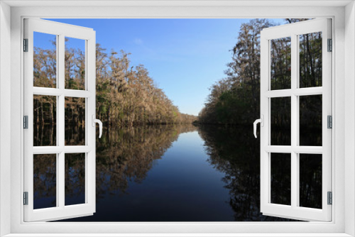 Fototapeta Naklejka Na Ścianę Okno 3D - Fisheating Creek, Florida, on a calm and sunny winter afternoon.