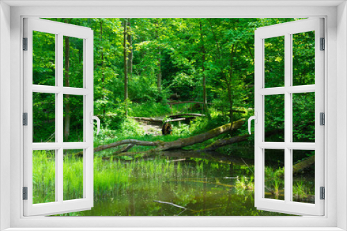 Fototapeta Naklejka Na Ścianę Okno 3D - Peaceful and beautiful forest brook. Summer background.
