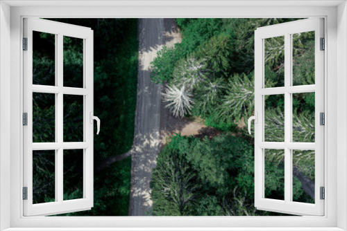 Fototapeta Naklejka Na Ścianę Okno 3D - Forest Road