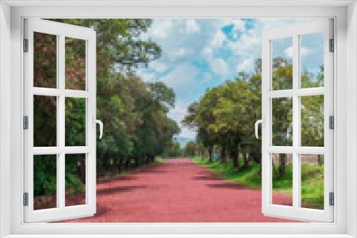 Fototapeta Naklejka Na Ścianę Okno 3D - Red path surrounded by trees