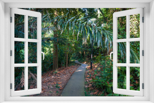 Fototapeta Naklejka Na Ścianę Okno 3D - Asphalt path going through lush green park alley