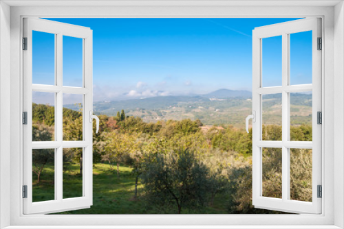 Fototapeta Naklejka Na Ścianę Okno 3D - Beautiful landscape with olive trees and distant mountains. Toscana, Italy