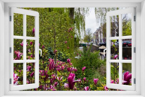 Fototapeta Naklejka Na Ścianę Okno 3D - Leiden, Holland, Netherlands, April 18, 2019,  a street, canal in Leiden old town, Nieuwsteebrug view . Magnolia flowers, boat on the water.