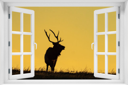 Fototapeta Naklejka Na Ścianę Okno 3D - silhouette of  a elk 