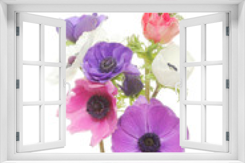 Fototapeta Naklejka Na Ścianę Okno 3D - Anemone flowers
