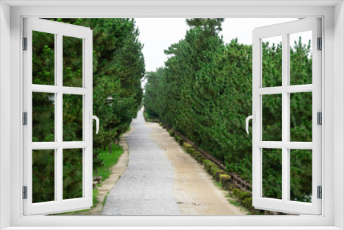 Fototapeta Naklejka Na Ścianę Okno 3D - 松並木の風景