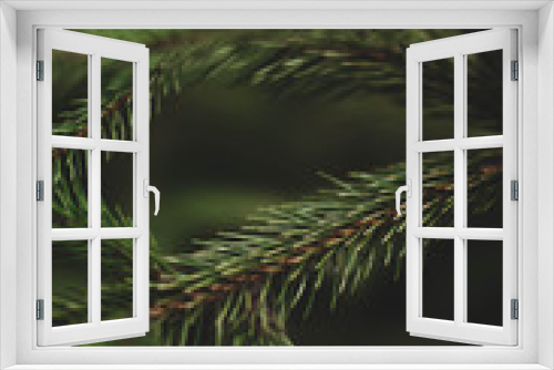 Fototapeta Naklejka Na Ścianę Okno 3D - needles. Christmas tree. Macro twig Christmas tree
