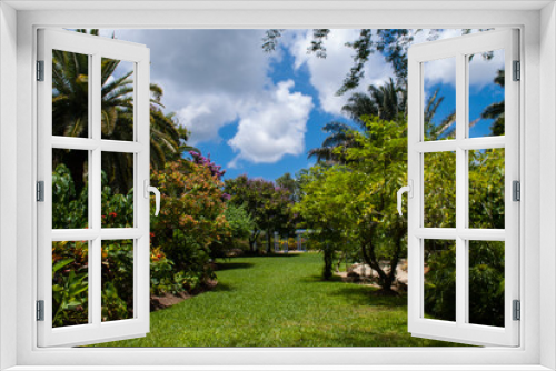 Fototapeta Naklejka Na Ścianę Okno 3D - A tropical garden scene. The lush green colors come from the Caribbean sun. Pic taken in the Botanical Gardens in Grand Cayman