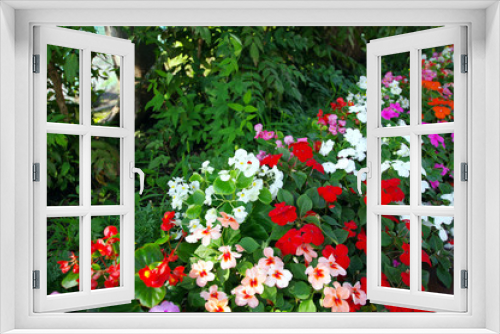 Fototapeta Naklejka Na Ścianę Okno 3D - カラフルな花壇の花