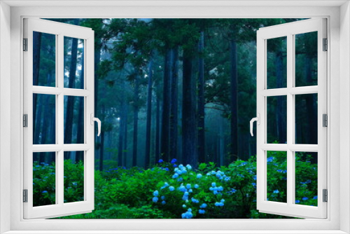 Fototapeta Naklejka Na Ścianę Okno 3D - 森の紫陽花