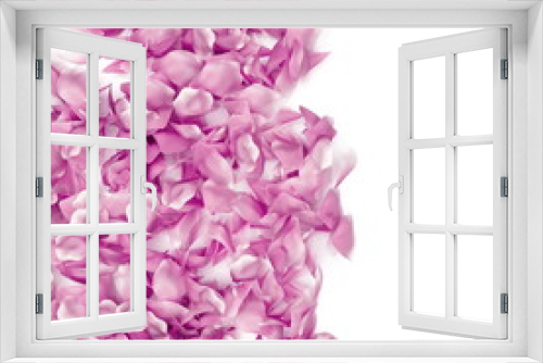 Fototapeta Naklejka Na Ścianę Okno 3D - Rose petals border on a white background, 3d rendering. Tender romantic love card design elements. Realistic 3d rose petals frame edge for ads or natural cosmetic products. Valentines Day background.