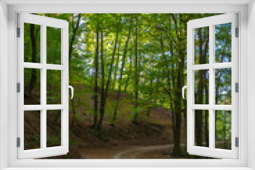 Fototapeta Naklejka Na Ścianę Okno 3D - Straße im Wald