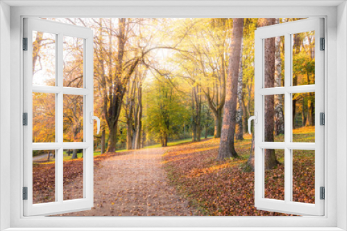 Fototapeta Naklejka Na Ścianę Okno 3D - Autumn landscape: Park alley surrounded with yellow and green trees and fallen leaves. Sunlight comes through branches with colourful foliage on a warm sunny autumn day. Picturesque background