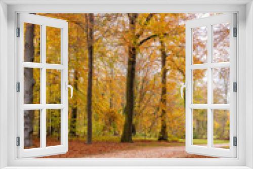 Fototapeta Naklejka Na Ścianę Okno 3D - Beautiful view of forest at autumn