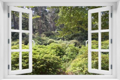 Fototapeta Naklejka Na Ścianę Okno 3D - schönes Blick in den grünen Wald