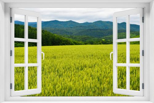 Fototapeta Naklejka Na Ścianę Okno 3D - Beautiful rural scenery at summer day