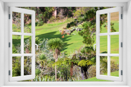 Fototapeta Naklejka Na Ścianę Okno 3D - New Zealand golf fairway