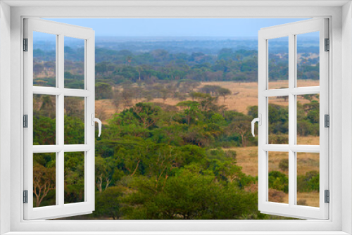 Fototapeta Naklejka Na Ścianę Okno 3D - Panoramic view of the African savanna at sunset.