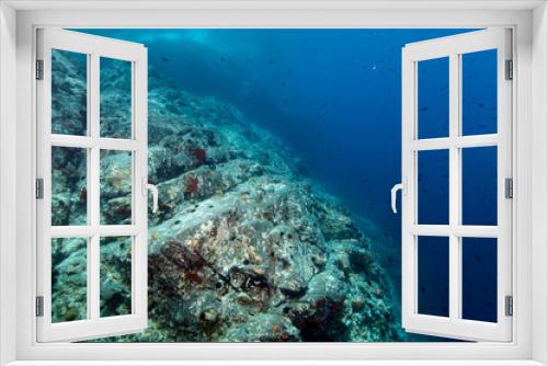 Fototapeta Naklejka Na Ścianę Okno 3D - Underwater Cliff Croatia