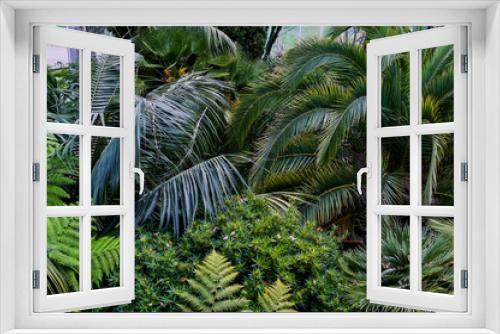 Fototapeta Naklejka Na Ścianę Okno 3D - Tropical plants and palm trees in the botanical garden in Geneva. Beautiful prroda and travel.