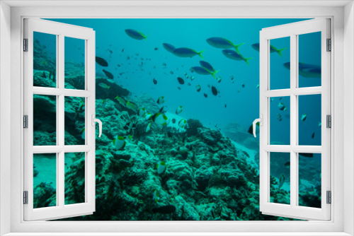 Fototapeta Naklejka Na Ścianę Okno 3D - Reef