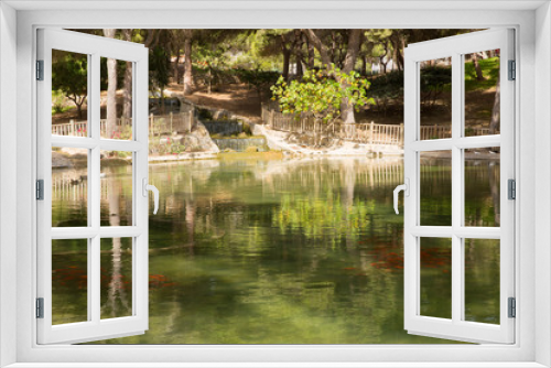 Fototapeta Naklejka Na Ścianę Okno 3D - Goldfish in a pond Reina Sofia Park Guardamar del Segura Costa Blanca Spain
