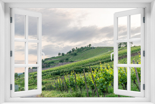 Fototapeta Naklejka Na Ścianę Okno 3D - German vineyards in Rudesheim am Rhein