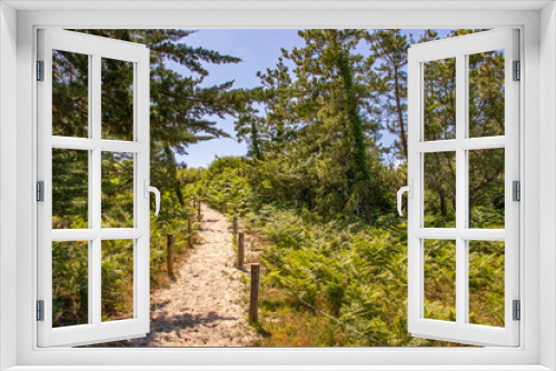 Fototapeta Naklejka Na Ścianę Okno 3D - Chemin de randonnées à la pointe de Mousterlin dans le Finistère
