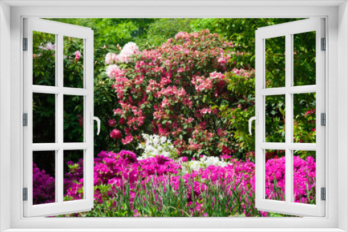 Fototapeta Naklejka Na Ścianę Okno 3D - wild and garden plants, flowers, trees	