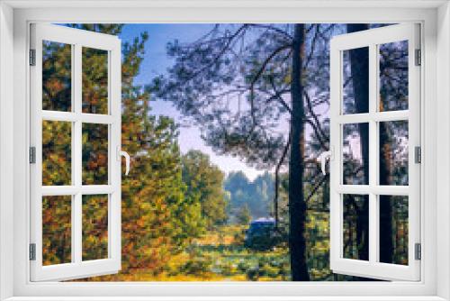 Fototapeta Naklejka Na Ścianę Okno 3D - Autumn woods