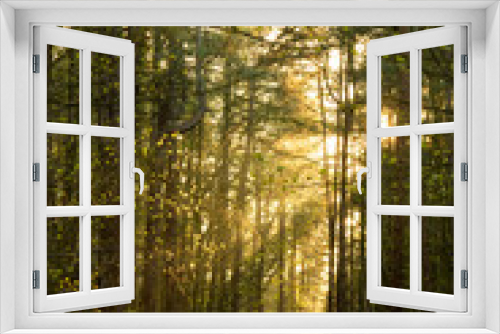 Fototapeta Naklejka Na Ścianę Okno 3D - New Marske Woods.
