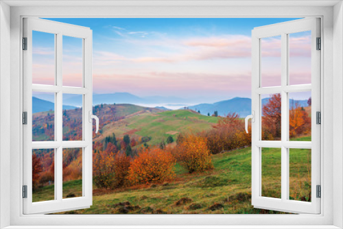 Fototapeta Naklejka Na Ścianę Okno 3D - rural area in mountains at dawn. beautiful countryside autumn scenery. trees on rolling hills in fall foliage. clouds above the distant ridge an foggy valley. gorgeous purple sky
