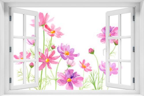 Fototapeta Naklejka Na Ścianę Okno 3D - コスモスの花の水彩イラスト