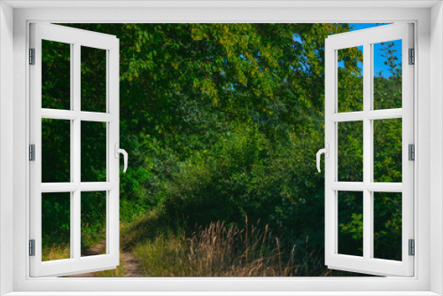 Fototapeta Naklejka Na Ścianę Okno 3D - A path next to a Dutch meadow