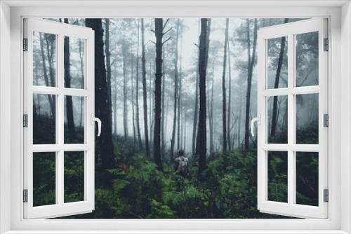 Fototapeta Naklejka Na Ścianę Okno 3D - In the mist and rain forest, darkness