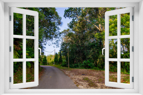 Fototapeta Naklejka Na Ścianę Okno 3D - empty narrow road in the middle of tropical forest at Fraser Hill, Malaysia