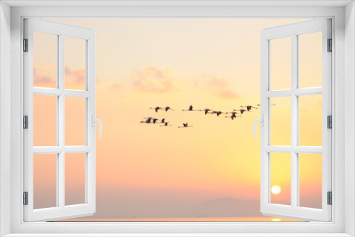 Fototapeta Naklejka Na Ścianę Okno 3D - Flock of Flamingoes Birds in Flight