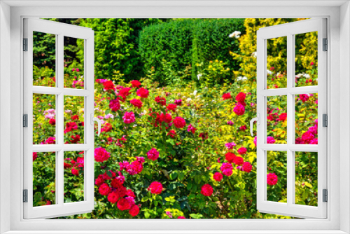 Fototapeta Naklejka Na Ścianę Okno 3D - Beautiful view with blooming flowers in the botanical garden