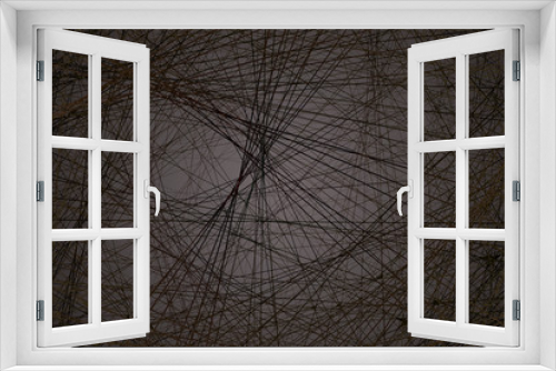 Fototapeta Naklejka Na Ścianę Okno 3D - cobweb on a dark background, dark background