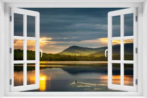 Fototapeta Naklejka Na Ścianę Okno 3D - Loon watching the sunrise over Indian Lake Adirondacks New York