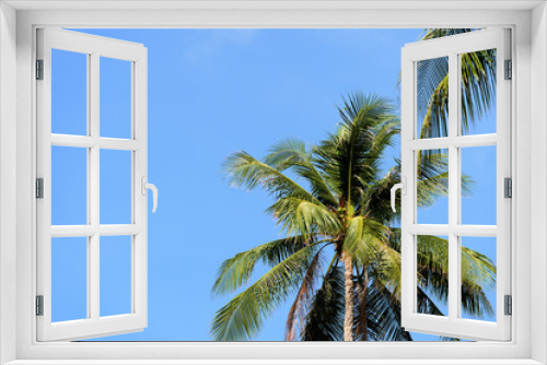 Fototapeta Naklejka Na Ścianę Okno 3D - Beautiful palm tree against the blue sky on a clear day. Tropical background