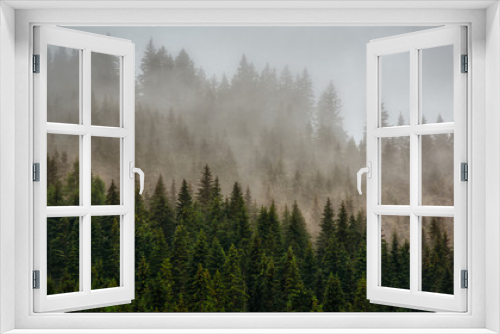 Fototapeta Naklejka Na Ścianę Okno 3D - morning mist in the forest, dolomites