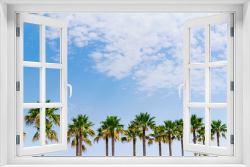 Fototapeta Naklejka Na Ścianę Okno 3D - Palm trees and blue skies summer nature travel tropical abstract background