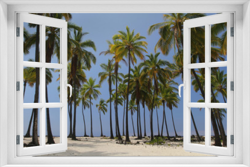 Fototapeta Naklejka Na Ścianę Okno 3D - Palm Tree Oasis 1