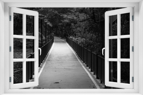Fototapeta Naklejka Na Ścianę Okno 3D - Path in the garden black and white style