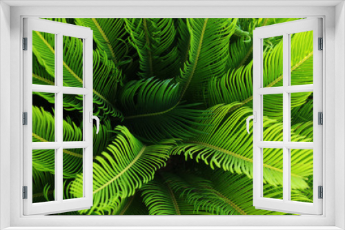 Fototapeta Naklejka Na Ścianę Okno 3D - beautiful natural plant with bright green colours.