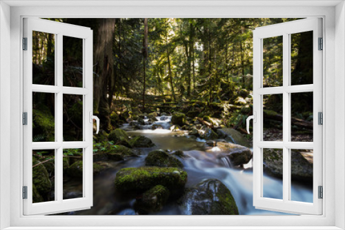 Fototapeta Naklejka Na Ścianę Okno 3D - Temperate rainforest in British Columbia