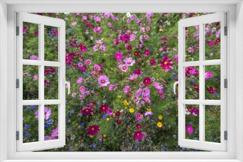 Fototapeta Naklejka Na Ścianę Okno 3D - blumenwiese